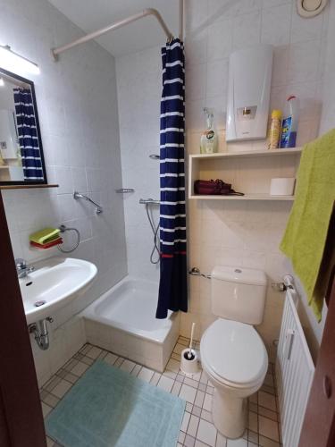 een badkamer met een toilet, een bad en een wastafel bij Waldfee in Altenau