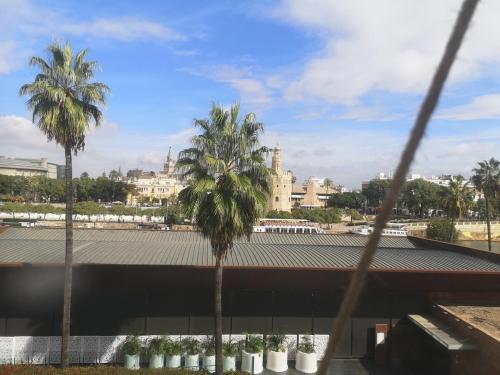 un grupo de palmeras frente a un edificio en Betis del Oro, en Sevilla