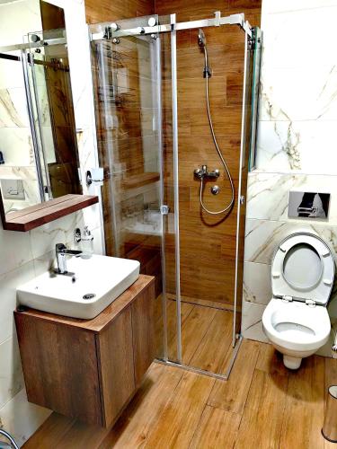 uma casa de banho com um chuveiro, um WC e um lavatório. em Borovi 3, apartman 3 em Divčibare