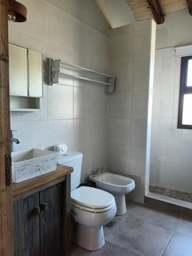 a bathroom with a toilet and a sink at Finca Rosablanca in Tunuyán