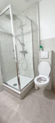 une salle de bain avec douche et toilettes dans l'établissement L'étoile du RDC, à Gravelines