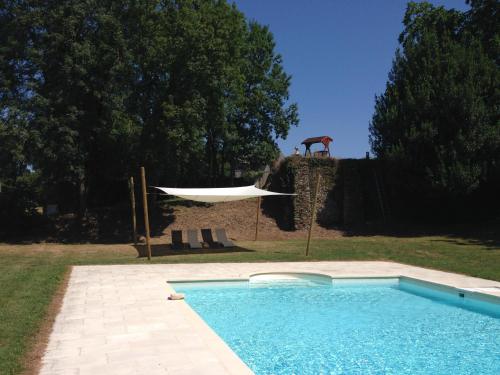 a swimming pool with a hammock next to at Chateau Pont Jarno B&B in Champdeniers-Saint-Denis