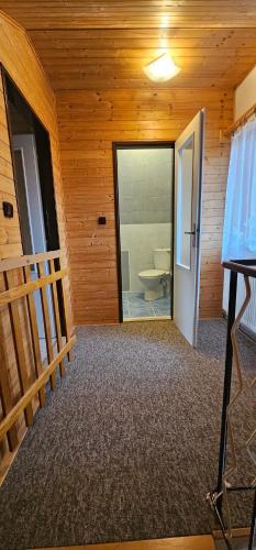 a bathroom with a toilet in a room with wooden walls at Apartmán v centru Království sov in Králíky
