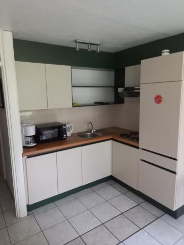 een keuken met witte kasten, een wastafel en een koelkast bij Ap4 Nature Ardennes Economy class apartment in La Calamine