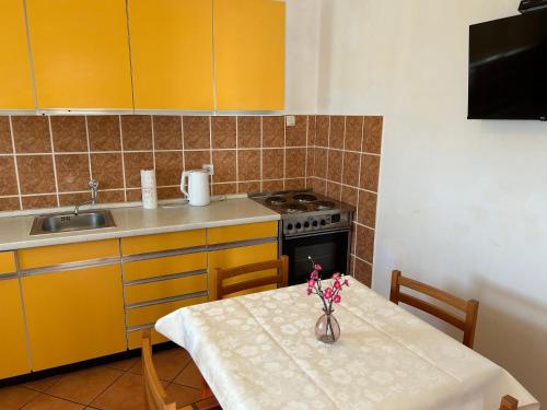 Kuchyň nebo kuchyňský kout v ubytování Apartmani Pavlović