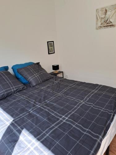1 cama con edredón azul en un dormitorio en Appartement 3 pièces faubourg de Pierre, en Estrasburgo