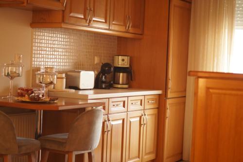 Imagen de la galería de Daphne Luxury Apartment, en Kastoria