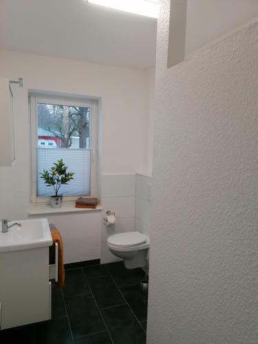 a bathroom with a white toilet and a window at Ferienwohnung I Sarrebriese in Bottmersdorf