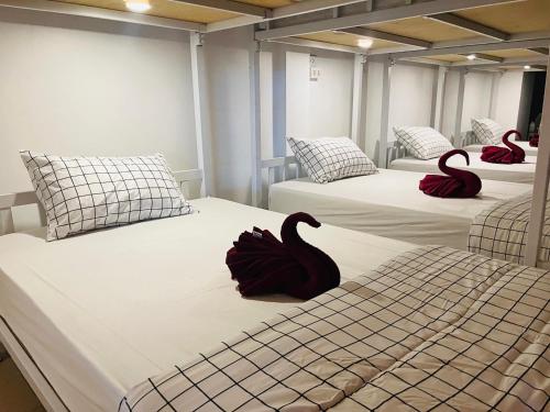 Tres cisnes negros sentados en camas en una habitación en Jasper Phangan Hostel, en Thong Sala