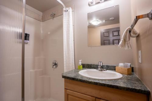 a bathroom with a sink and a shower at Basecamp Lodge Golden in Golden