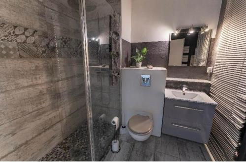 a bathroom with a shower and a toilet and a sink at Riquier Résidence in Nice