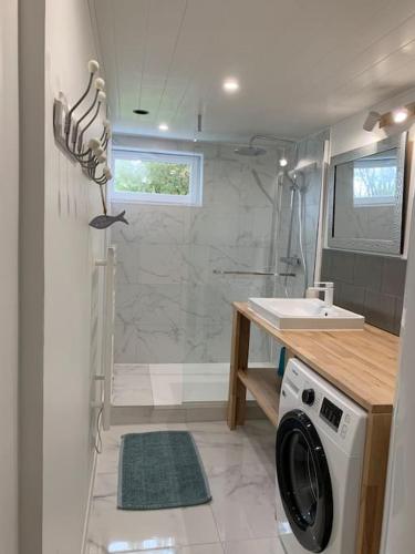 une salle de bain avec douche et machine à laver dans l'établissement Les Falaises d'Albâtre, à Heuqueville
