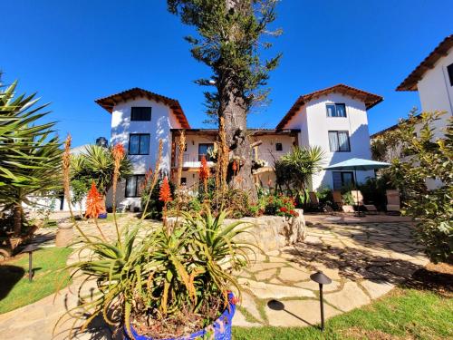 a house with a palm tree and some plants at Depto. Pucón in San Cristóbal de Las Casas