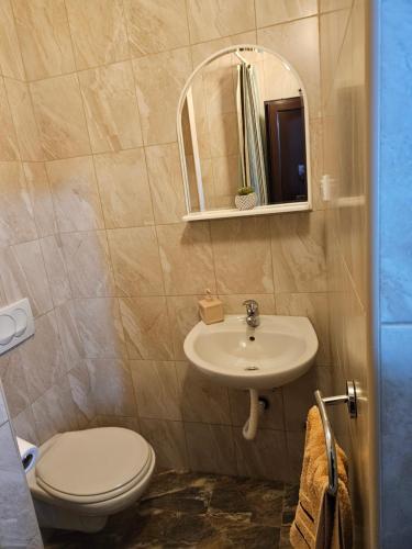 uma casa de banho com um WC, um lavatório e um espelho. em Apartmani Račeta em Kotor