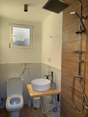 a bathroom with a sink and a toilet and a shower at Vavla House in Berat