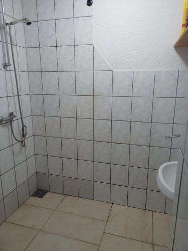 a bathroom with a shower and a sink at Apartman SM IK 1 in Tomislavgrad