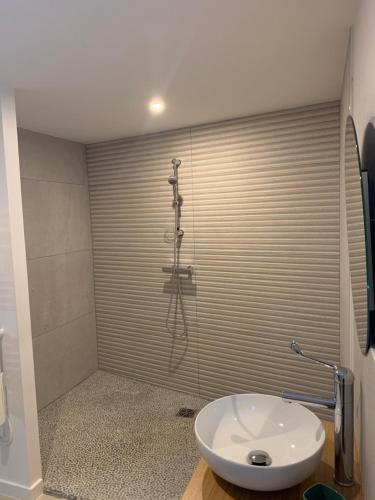 La salle de bains est pourvue d'une douche et d'un lavabo blanc. dans l'établissement L'étape de Marcel - Zanini, à Avoine