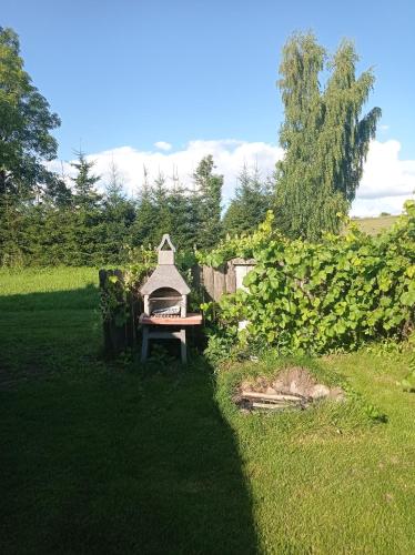 a garden with a bench in the grass at U Czesiuka in Jałowo