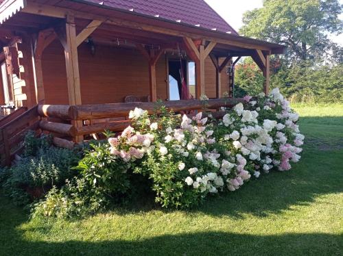 un grand bush de fleurs devant un kiosque dans l'établissement U Czesiuka, à Jałowo