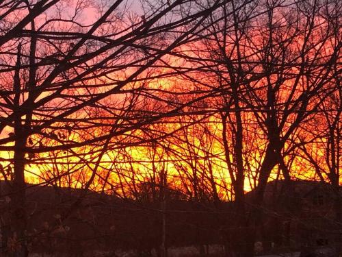 a sunset is seen through the branches of trees at Small Town Hideaway in Wyalusing