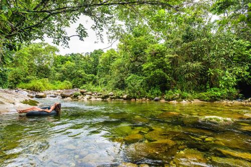 Cedro Amazon Lodge – صور 2