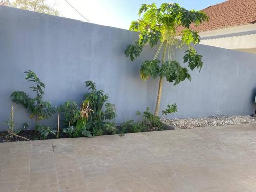 a wall with two palm trees next to a building at Saffy Guest House in Brikama