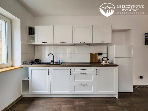 Dapur atau dapur kecil di Agroturystyka Leszczynowe Wzgórze
