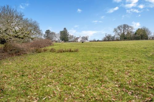 a field of green grass with a horse in the distance at Mayeston Barn Holiday Home in Pembroke Dock
