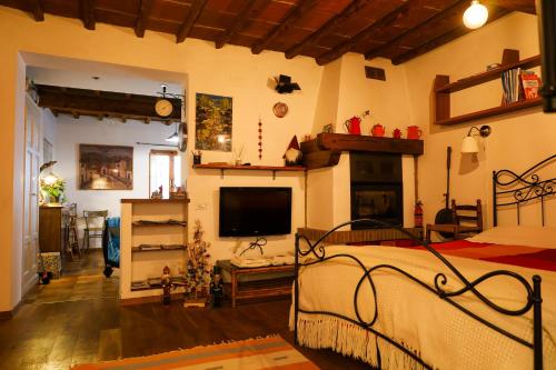 a bedroom with a bed and a television in it at I Rosai appartamento sulle colline fiorentine in Bagno a Ripoli