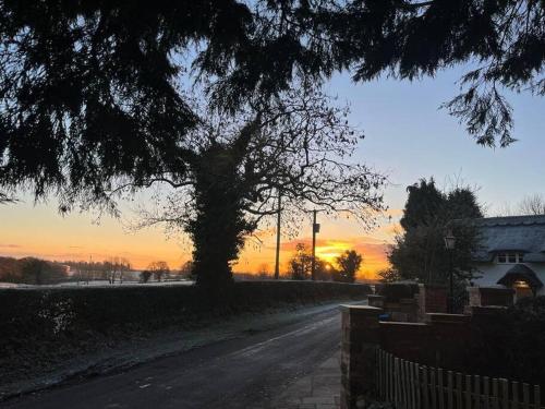 a tree on the side of a road at sunset at Brownhills in Eaton