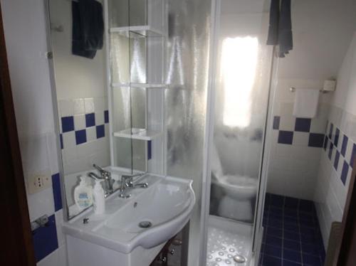 een badkamer met een wastafel en een douche met een toilet bij Appartamento Monique in Pieve di Soligo