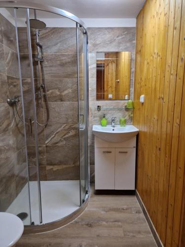 a bathroom with a shower and a sink at Šumavská Barborka in Vimperk