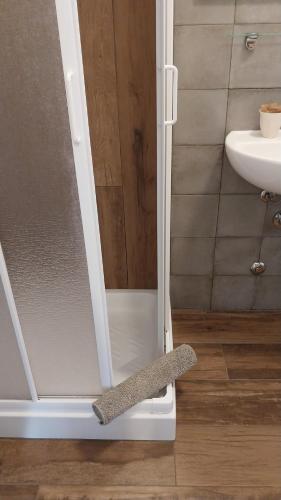 a shower door with a rug in a bathroom at VILLA VILLACOLLE in Procchio