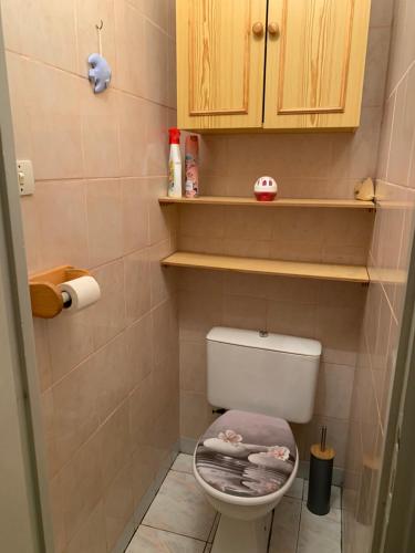 Elle comprend une petite salle de bains pourvue de toilettes et de placards en bois. dans l'établissement studio bord de mer, au Grau-du-Roi