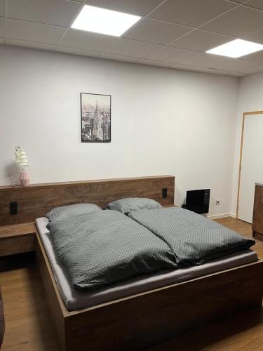 1 dormitorio con 1 cama grande en una habitación en Ubytování No.2 Tajemství Lucy en Plzeň
