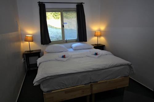 Ce lit se trouve dans un dortoir doté de 2 oreillers et d'une fenêtre. dans l'établissement Pink House Lipno, à Lipno nad Vltavou