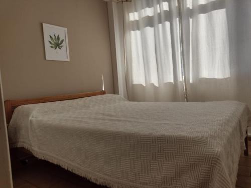 1 dormitorio con cama y ventana en Mar del Plata,Alquileres Temporarios en Mar del Plata