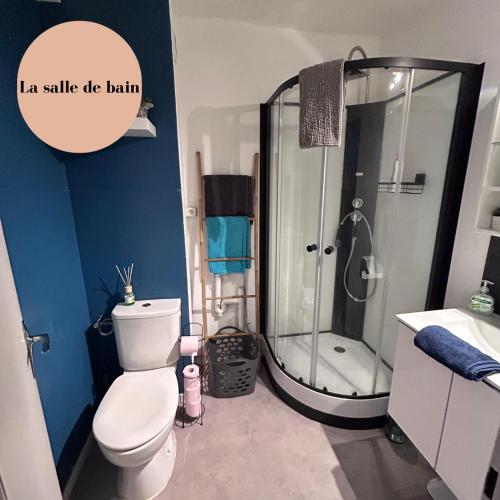 a bathroom with a shower and a white toilet at "Escale à La Maison des Pyrénées" ! T2 45 m2 in Tarbes