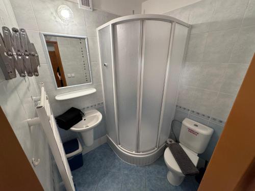 a bathroom with a shower and a toilet and a sink at Villa Venus in Prague