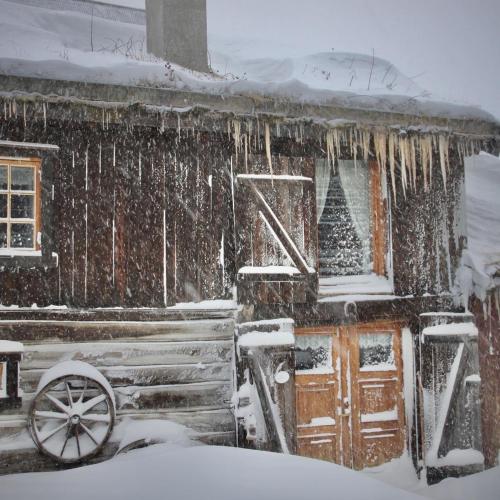 uma casa coberta de neve com uma árvore de Natal em Ålbyggården em Røros