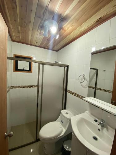 a bathroom with a toilet and a sink at Cabañas Entre Árboles Pucón in Pucón