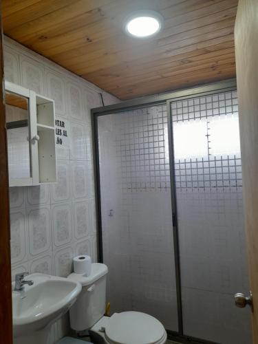 a bathroom with a toilet and a sink and a shower at Maria angelica in De Cauquenes