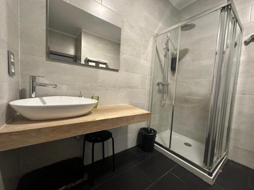 y baño con lavabo y ducha. en Apartamentos RK 13, en Bilbao