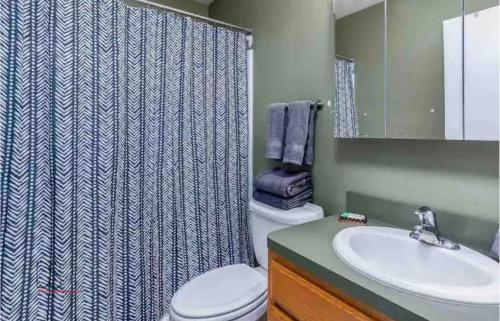 La salle de bains est pourvue d'un rideau de douche, de toilettes et d'un lavabo. dans l'établissement Comfy & Cozy Home in Marseilles, à Marseilles