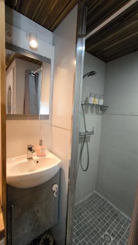une salle de bain avec un lavabo et une douche dans l'établissement L'Excursion - Charmant T2 Rénové proche de la mer, à Cassis