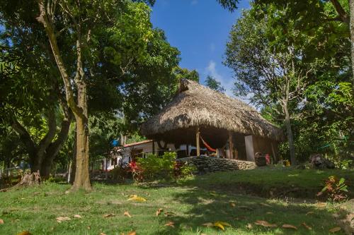 chata z dachem trawy na polu w obiekcie Santuario Tayrona Hostel w mieście Calabazo