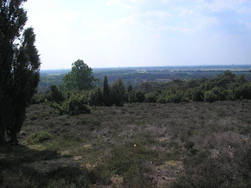 a large open field with trees in the distance at Wijnstaete in Lemelerveld