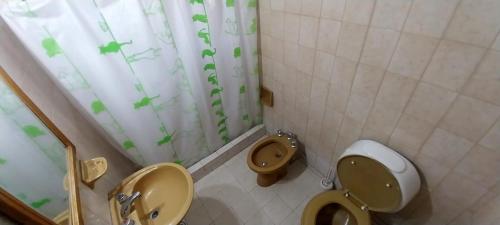 ein Badezimmer mit zwei Toiletten und einem Duschvorhang in der Unterkunft ARROYO SERRANO-MINA CLAVERO in Mina Clavero