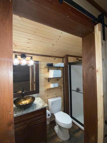 łazienka z toaletą i umywalką w obiekcie Lakeside Cabin Hot tub close to Ark Encounter w mieście Corinth