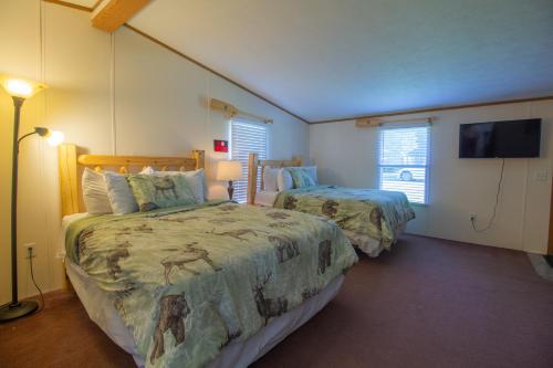 a bedroom with two beds and a flat screen tv at Stay in Ohiopyle in the center of it all, Ohiopyle, PA in Ohiopyle